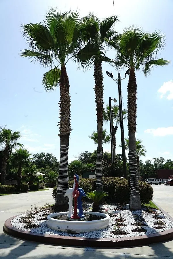 Hotel And Port Area 3*