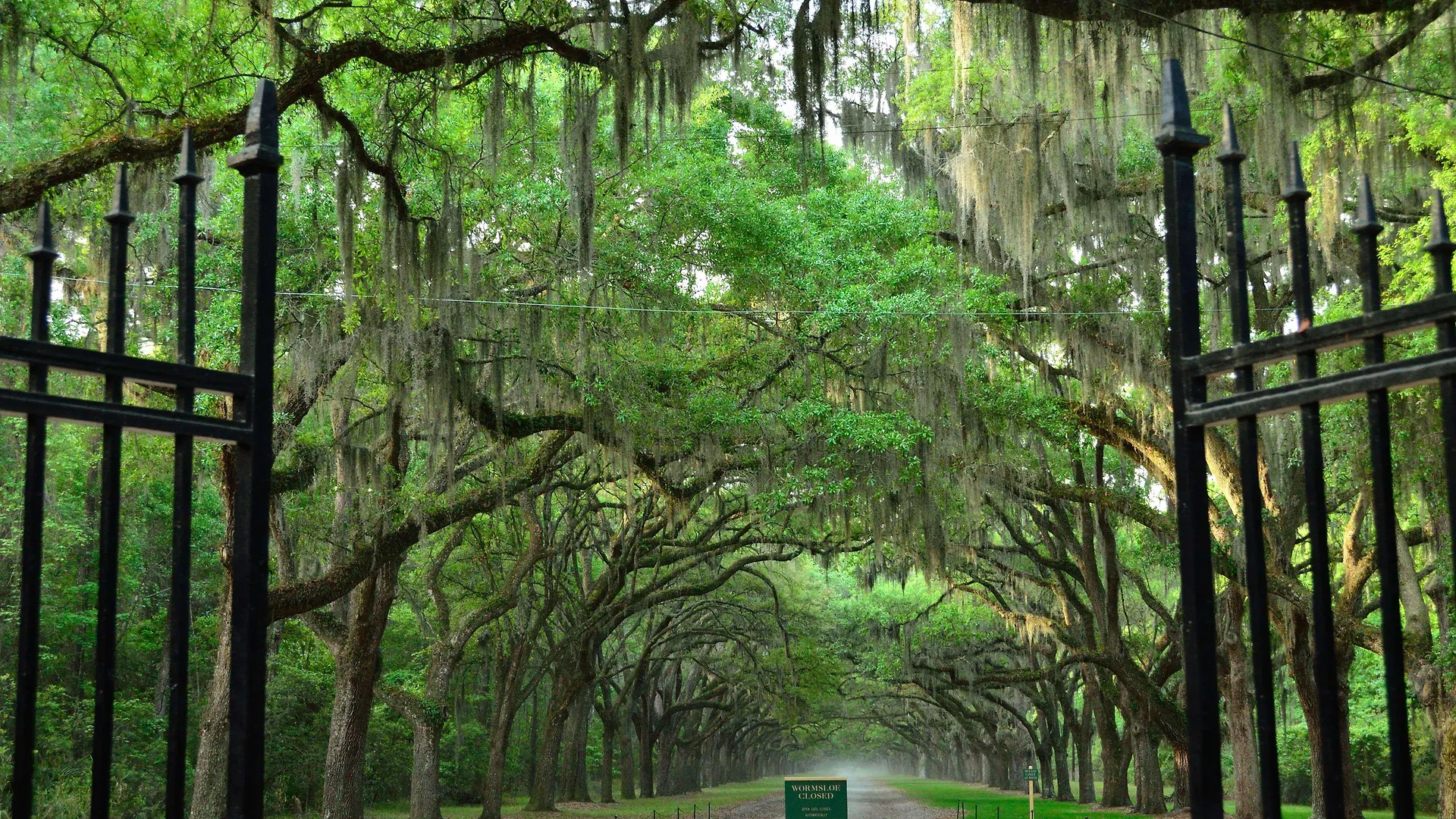 Western 3* Savannah