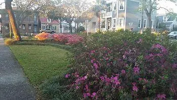 Bed & Breakfast Palm 2*