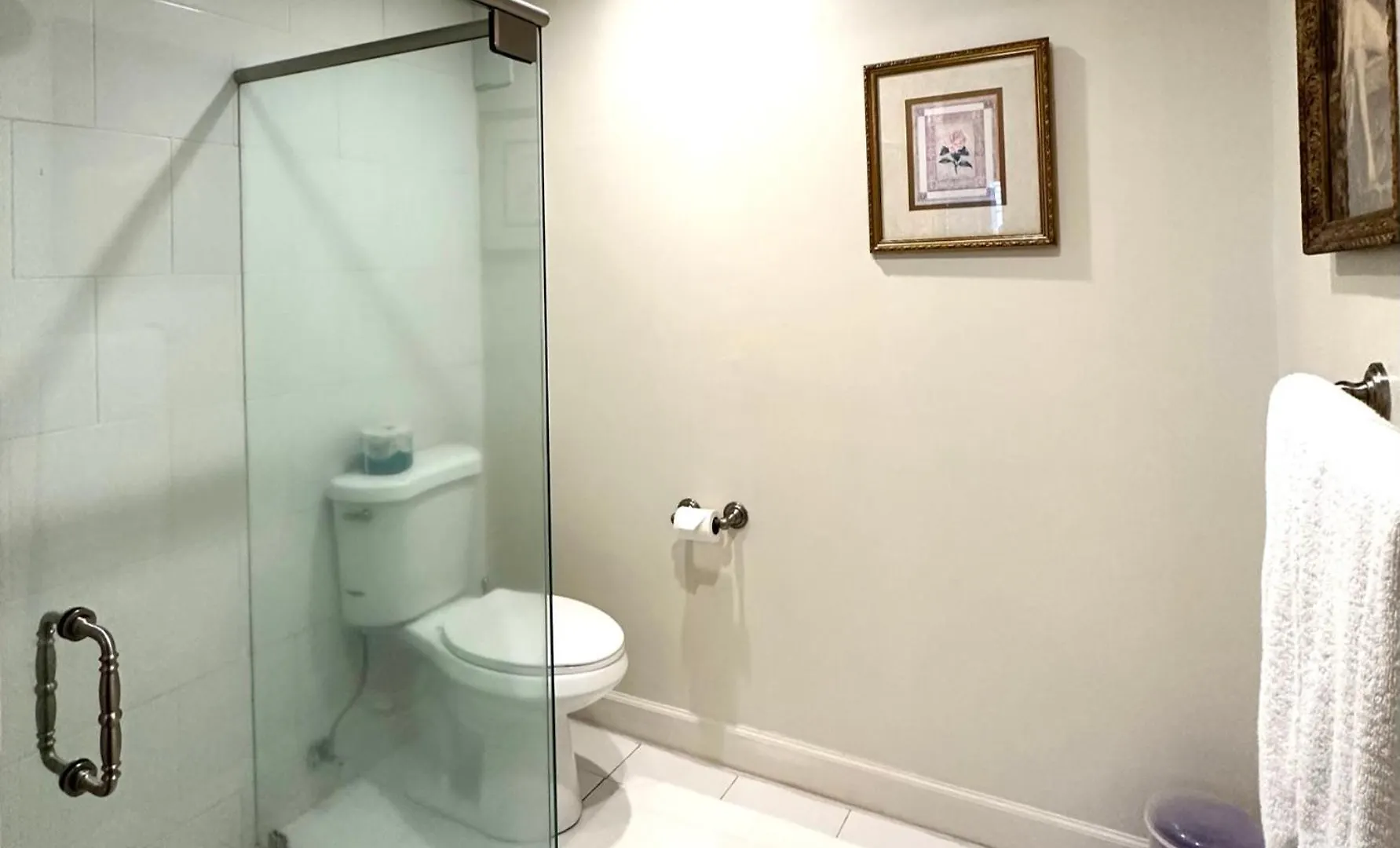 Amethyst Garden 4* Savannah