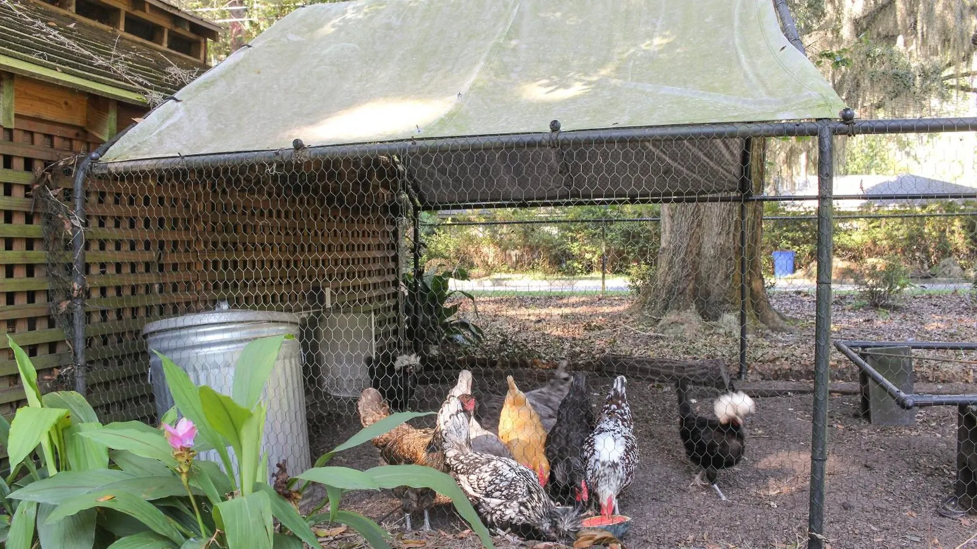 - 5 Mi To Wormsloe Historic Site! Holiday home