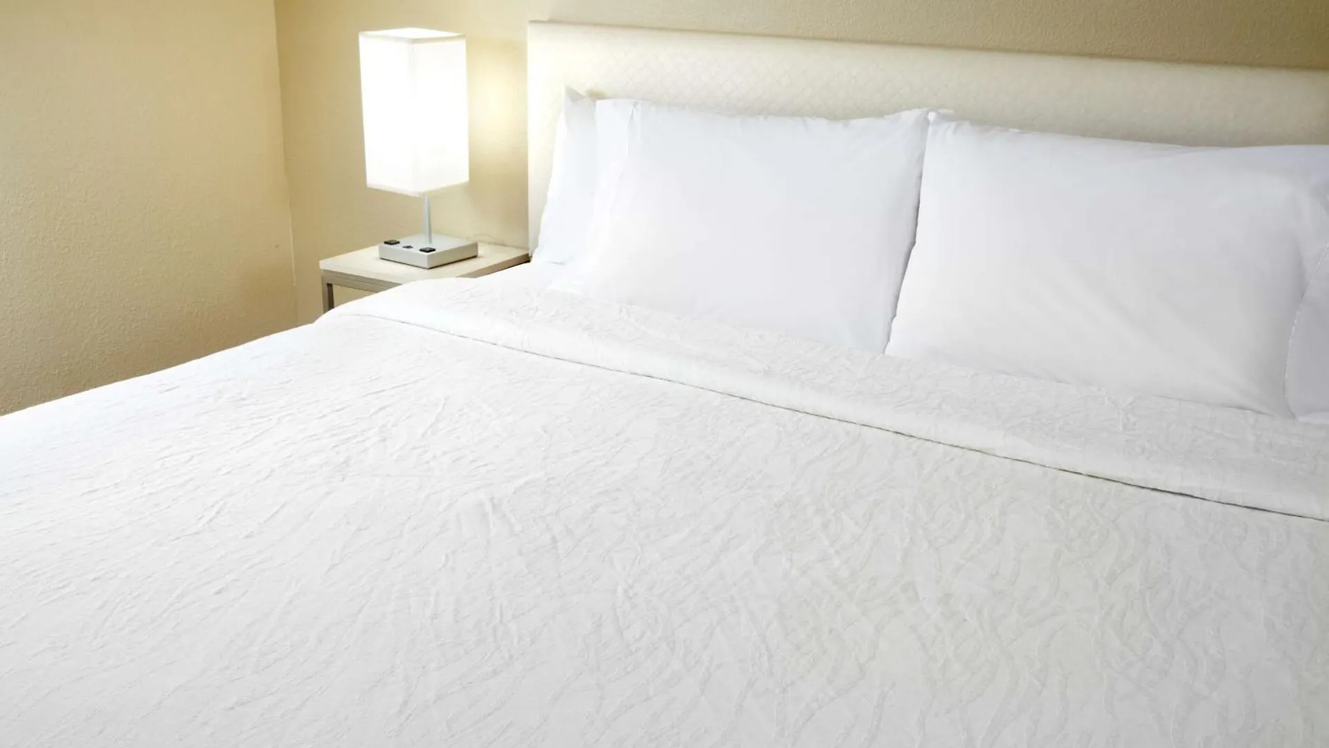 Hotel Hilton Garden Midtown Savannah
