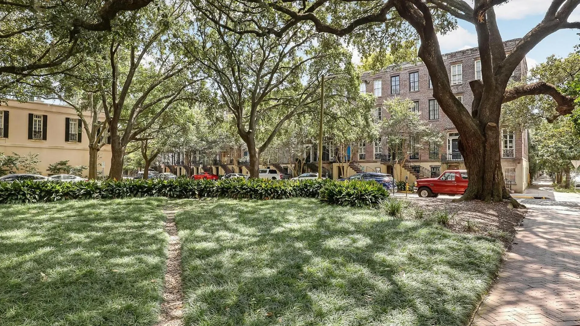 Gordon Live Oak *