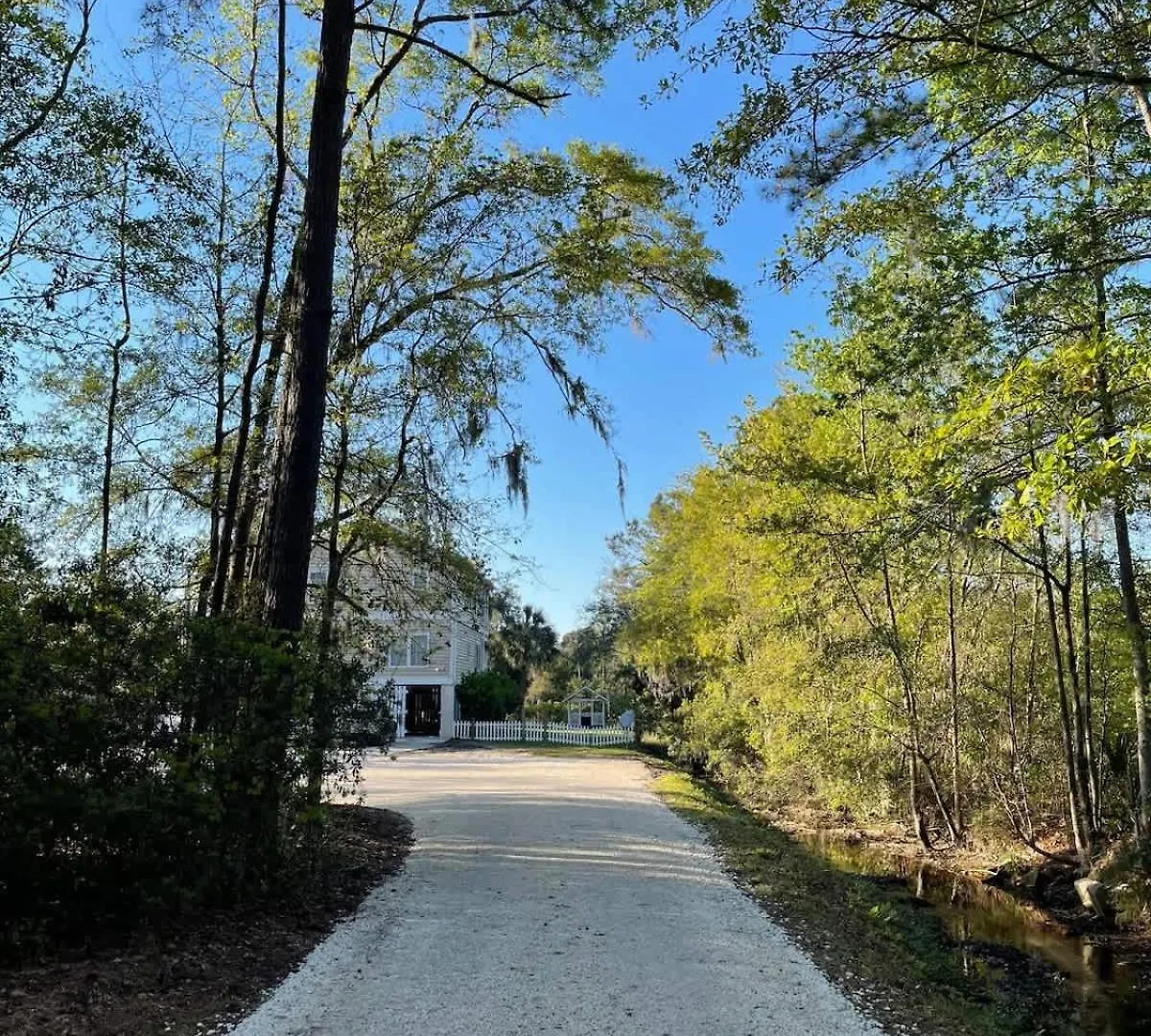 Casa vacanze Large W Midway To & Tybee Island! Dog Friendly Venue