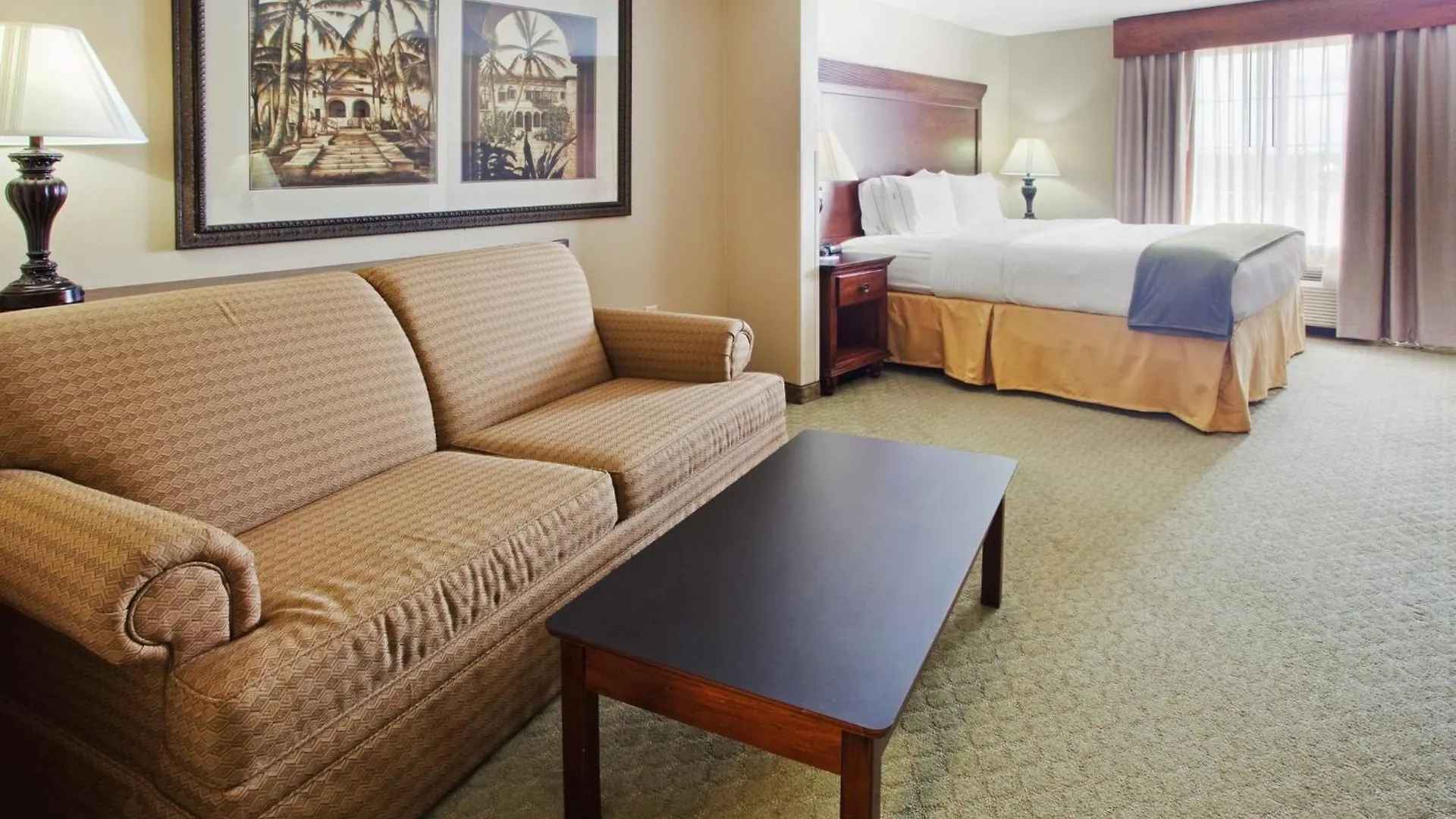 Express Airport By Ihg 3* Savannah