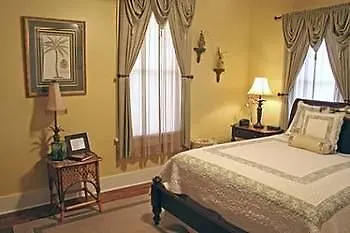 Palm 2* Savannah