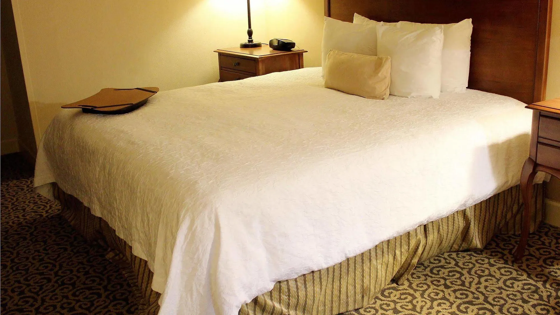 Hotel Hampton & Historic District 3*