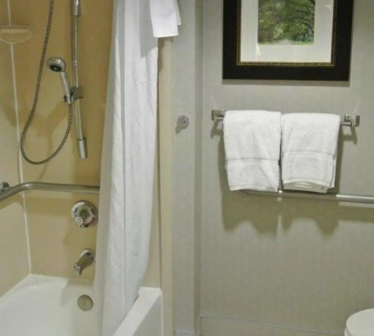 Hotel Homewood By Hilton 3*