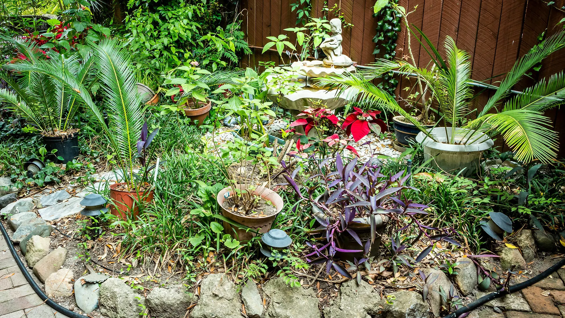Amethyst Garden Bed & Breakfast 4*