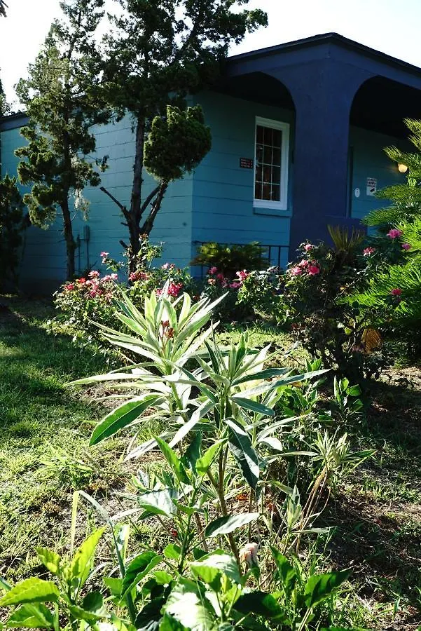 On 17 3* Savannah