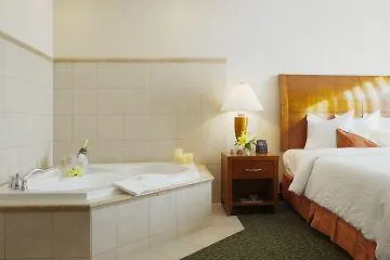 Hotel Hilton Garden Midtown 3*