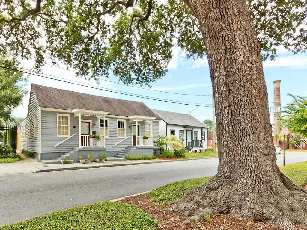 Frogtown Savannah