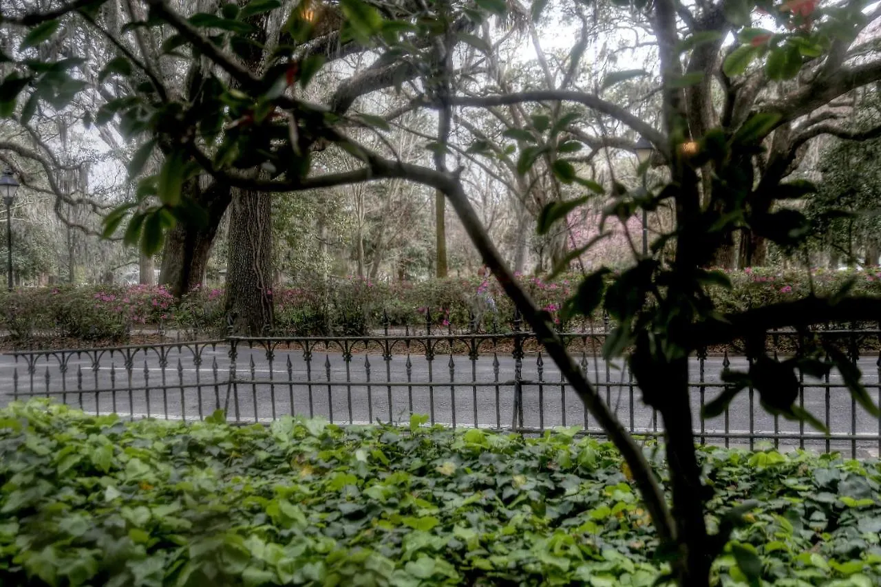 Forsyth Park 4*