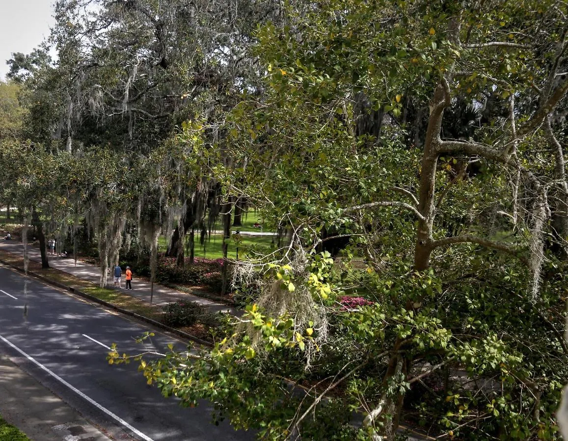 Bed & Breakfast Forsyth Park Savannah