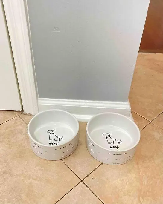 Сasa de vacaciones Pet-friendly, Minutes To Tybee+downtown