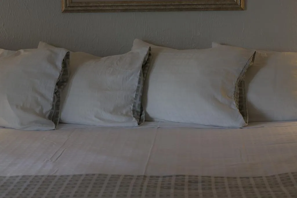 Comfort Savannah