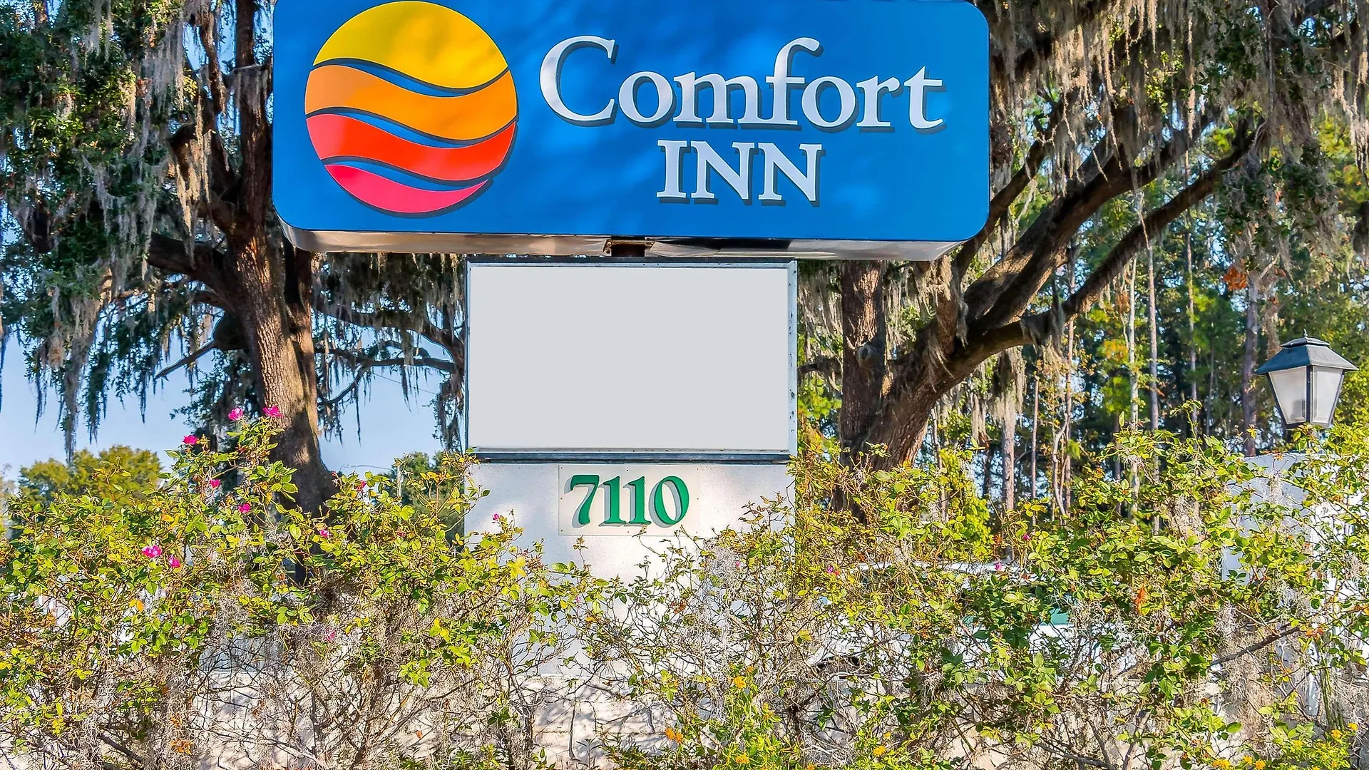 Comfort 3* Savannah