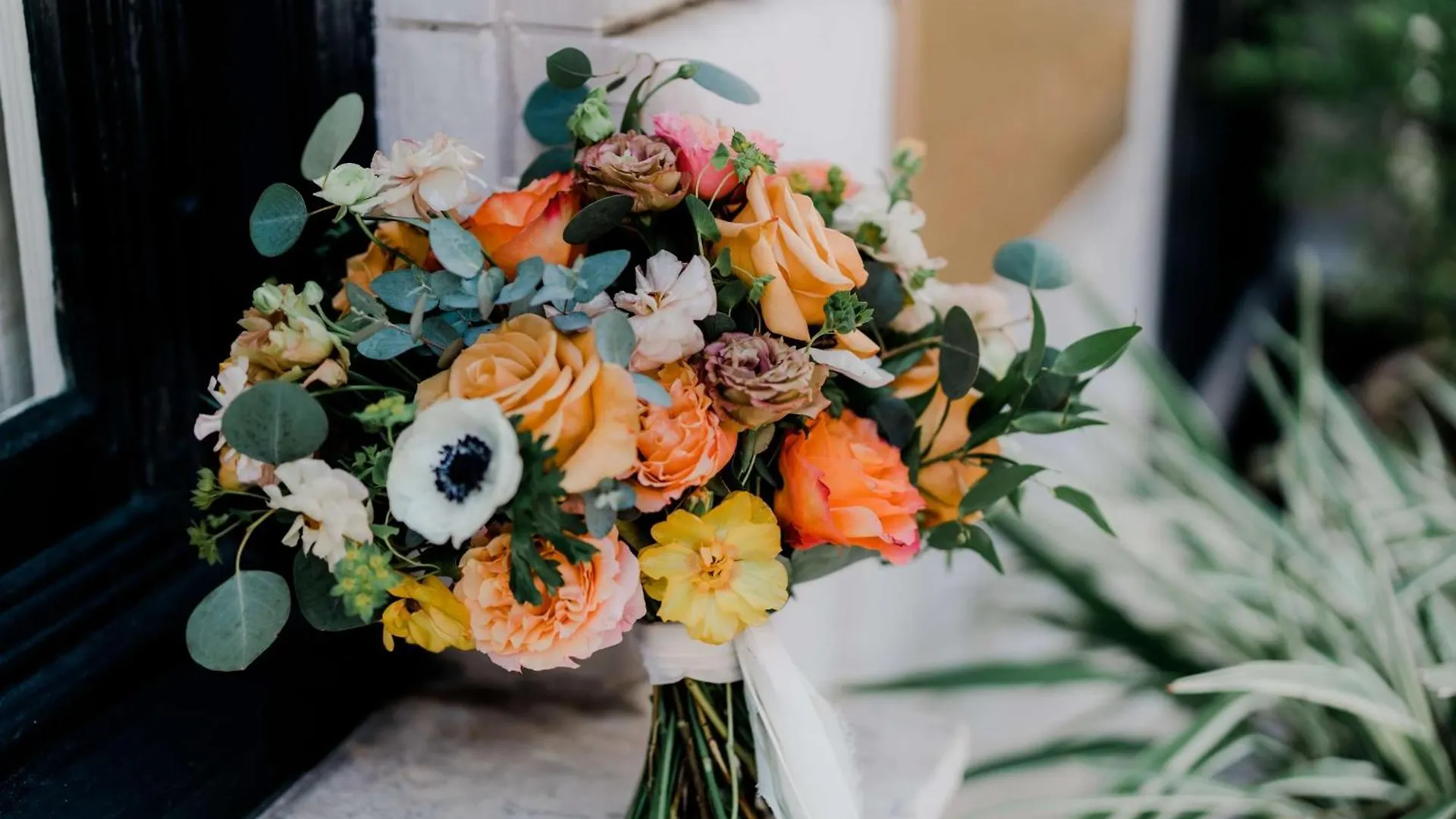 The Drayton Savannah, Curio Collection By Hilton Savannah