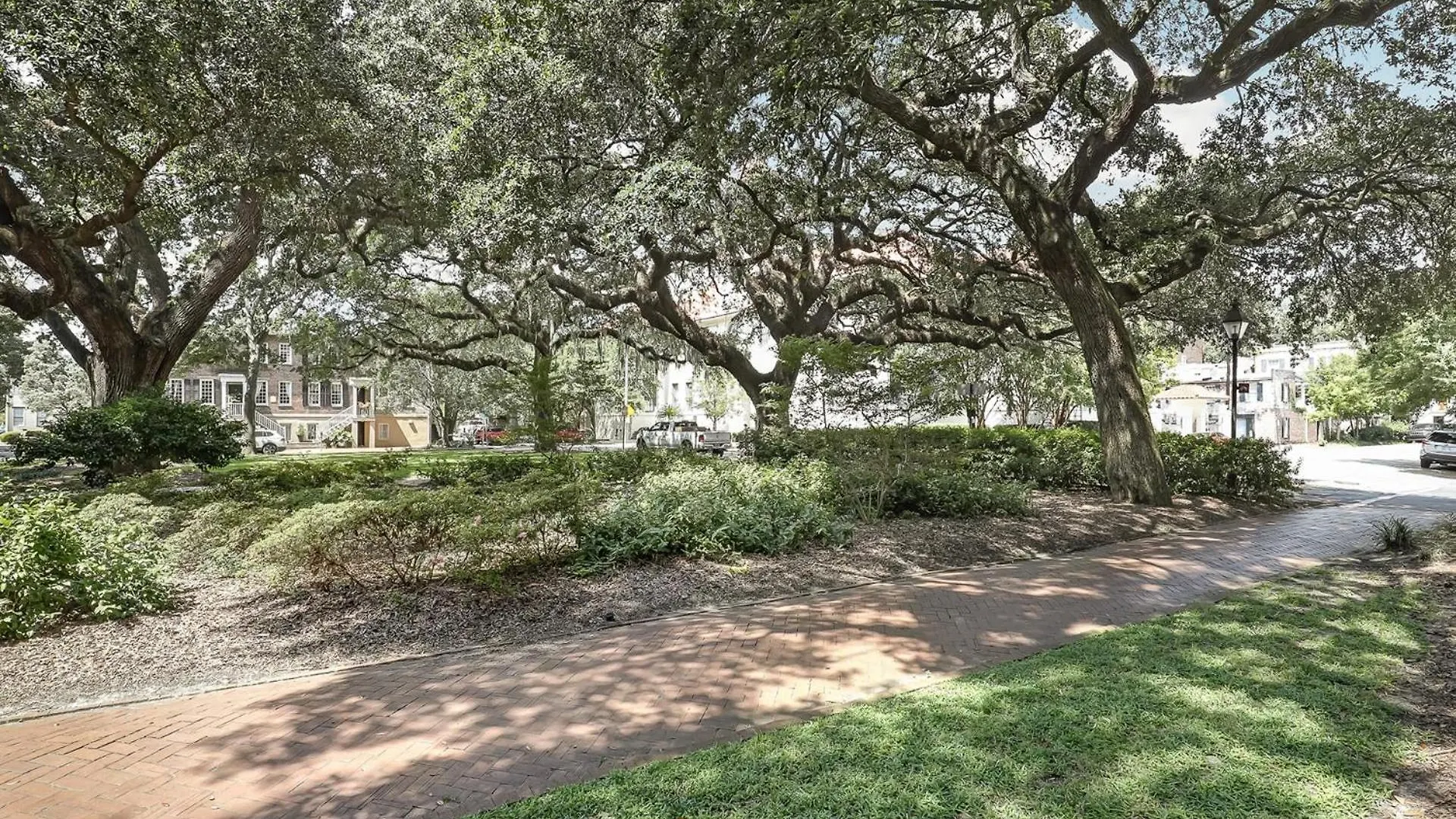 Gordon Holly Savannah