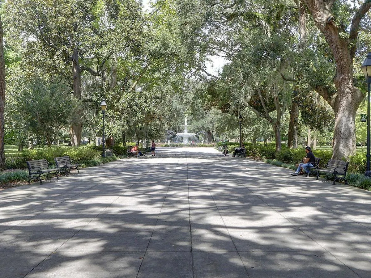 Nest Savannah