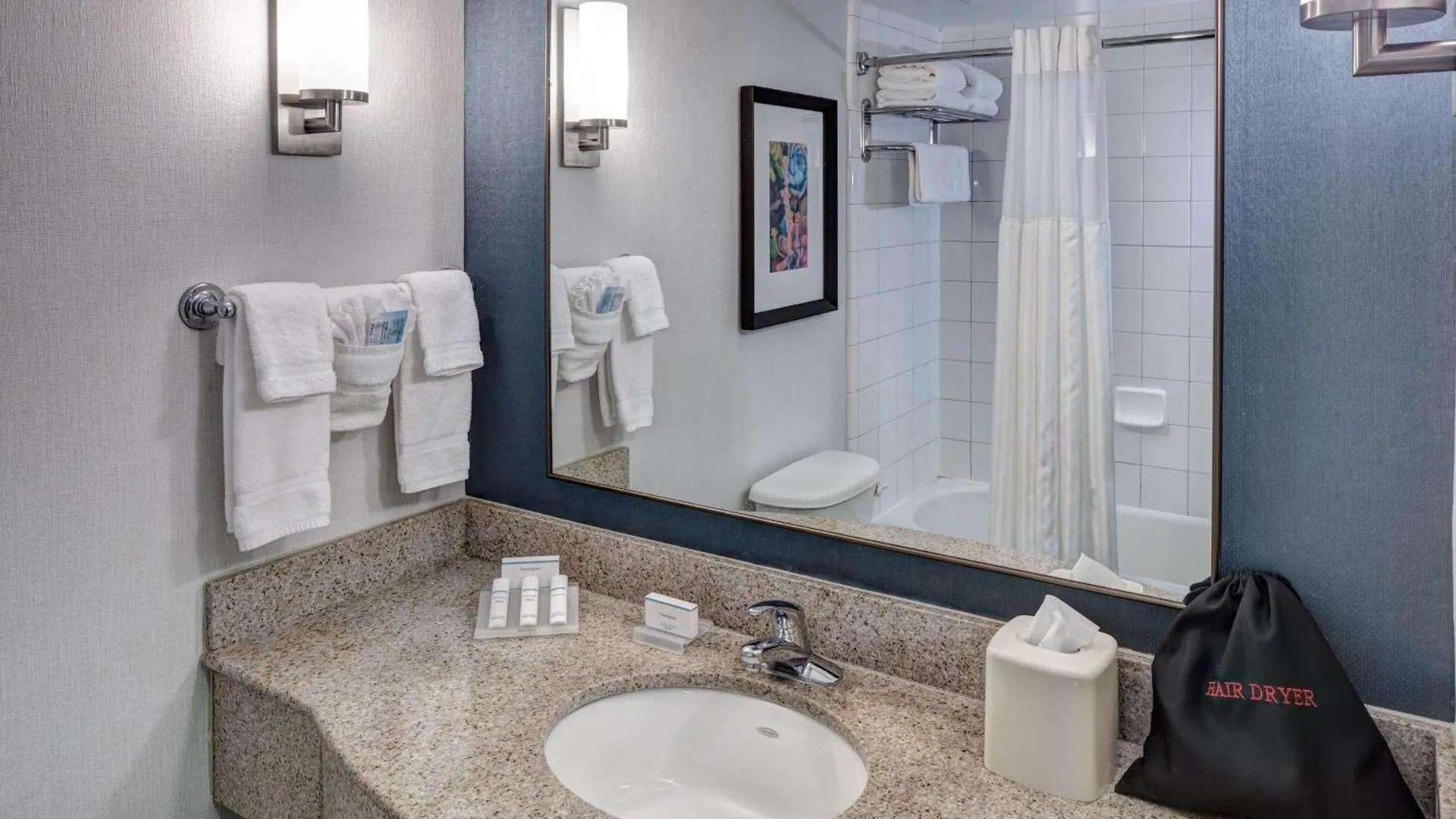 Hilton Garden Airport 3* Savannah