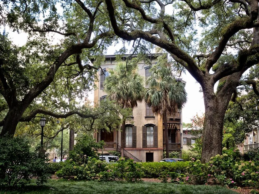 Whitaker By Design Savannah