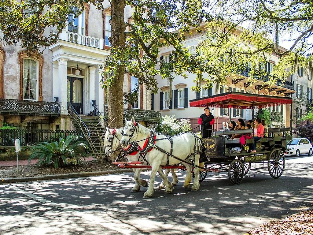 Whitaker By Design * Savannah