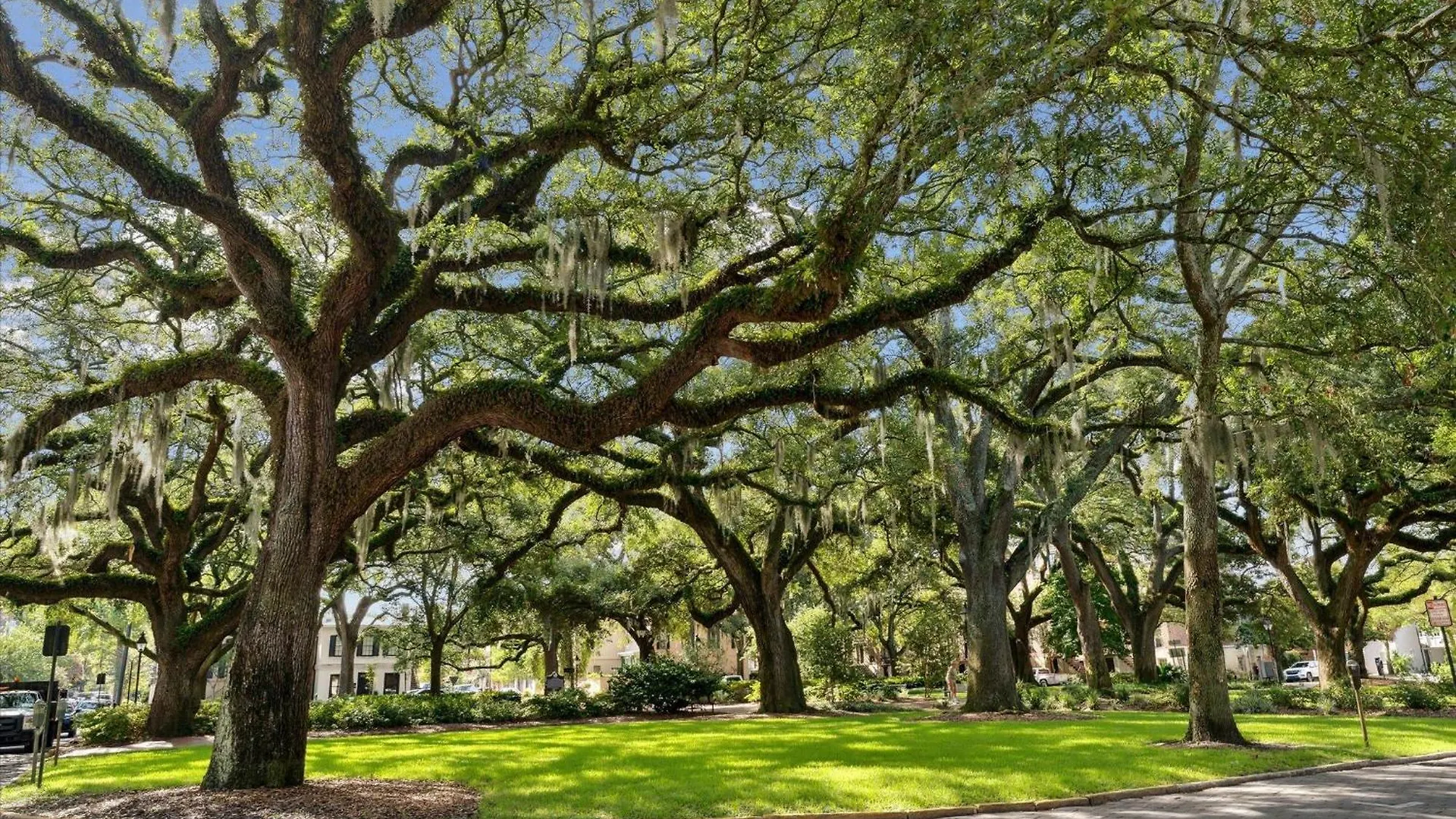 Apartment 308 W Taylor Street Garden Savannah