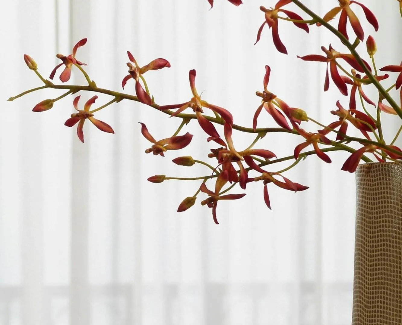 The Westin Harbor Golf & 4*