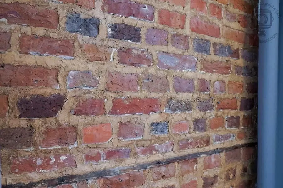 Apartment Bee On Broughton - Astonishing Downtown Sav *