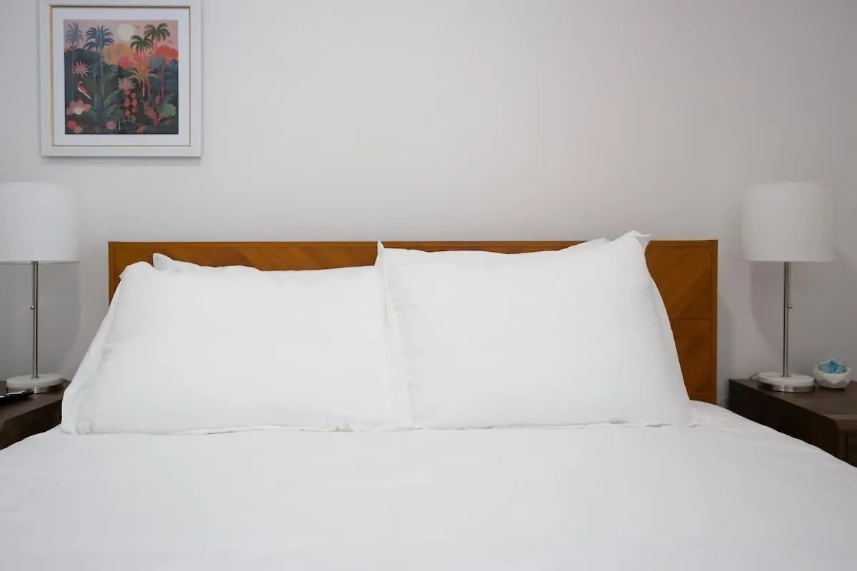 Fun & Renovated Artsy Downtown Dog Friendly With Fully Fenced Backyard And Private Parking Διαμέρισμα *