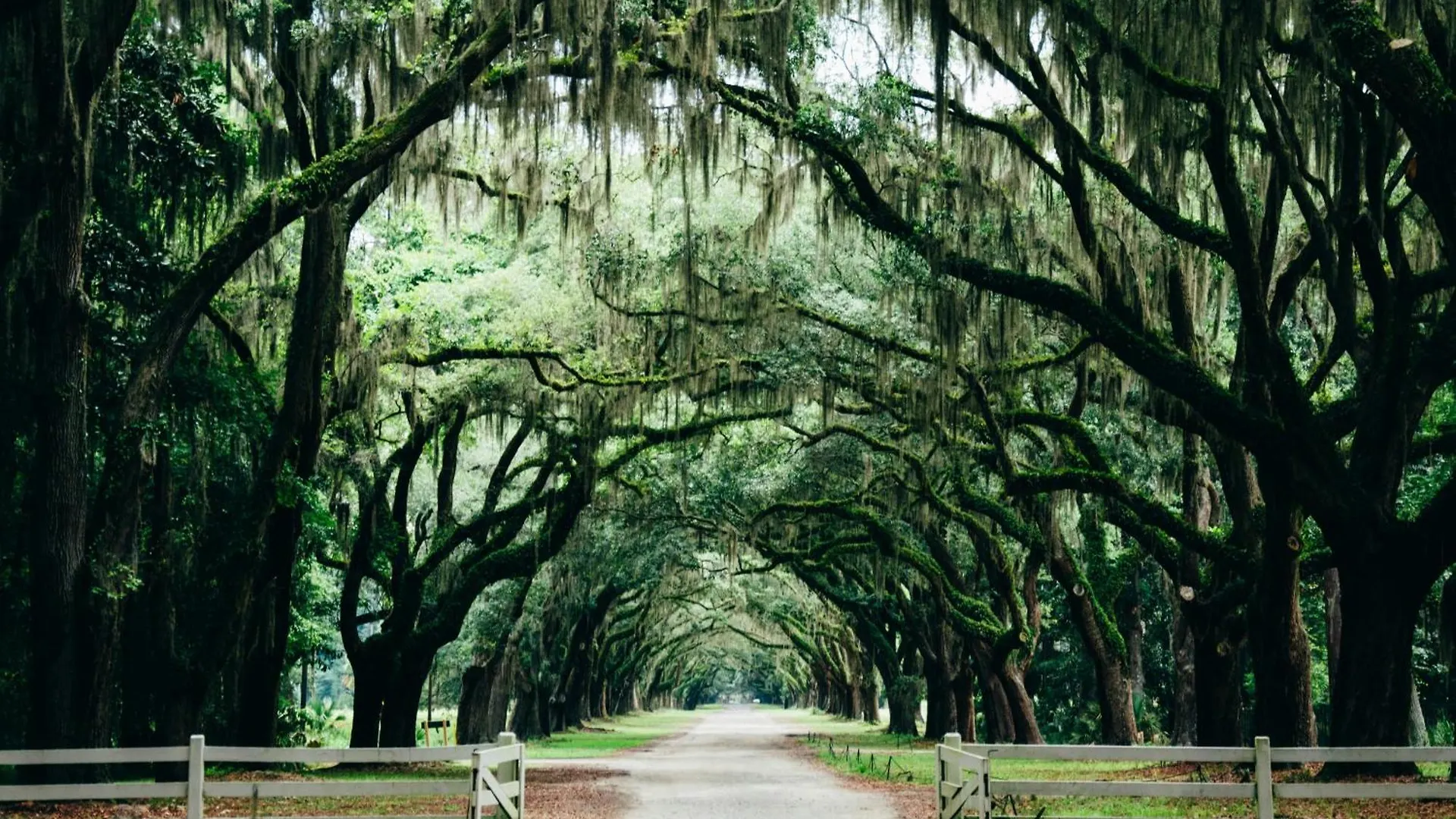 Kimpton Brice By Ihg Savannah
