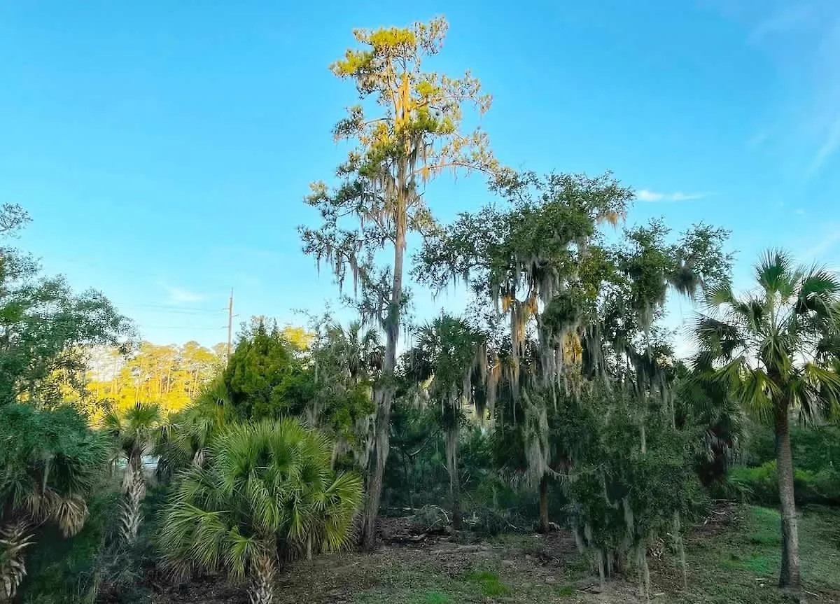 Holiday home Large And 2 Airstream Glampers & Midway To Tybee & Downtown With Fast Wifi And More! *