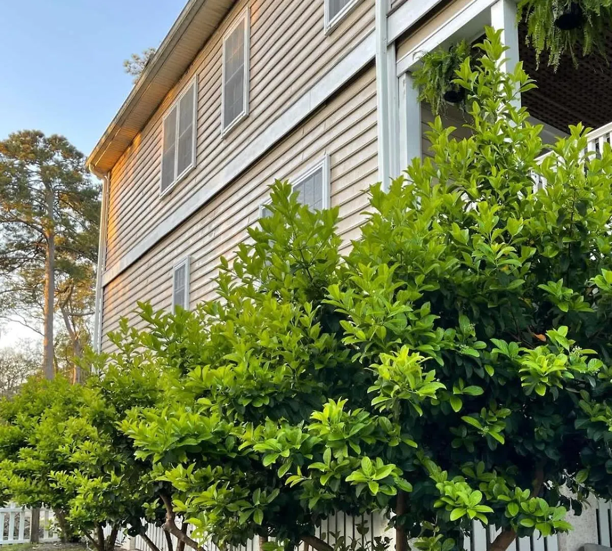 Holiday home Large And 2 Airstream Glampers & Midway To Tybee & Downtown With Fast Wifi And More! *