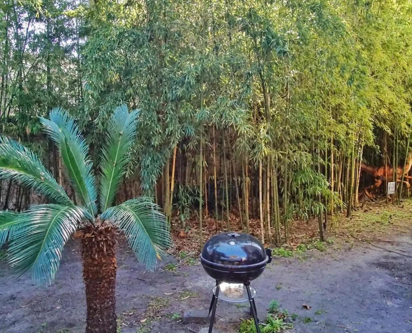 Massive 9bdr Courtyard Estate Near Forsyth Park サバンナ