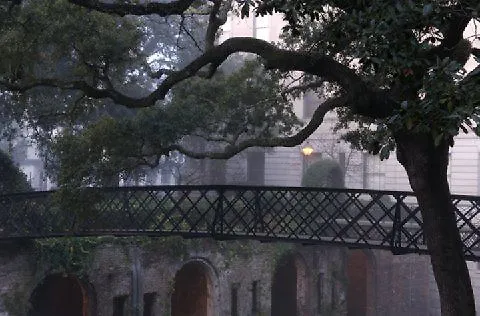 Hotel Comfort & Savannah