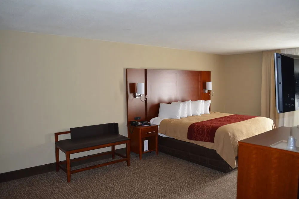 Comfort 3* Savannah