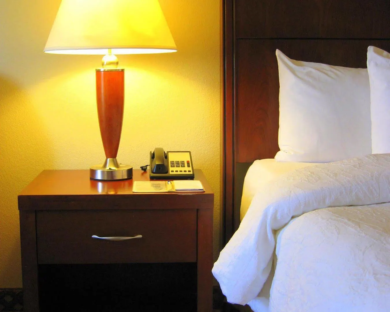 Hilton Garden Midtown Hotel