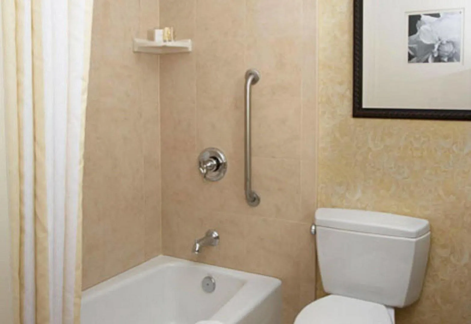 Hotel Hilton Garden Midtown Savannah