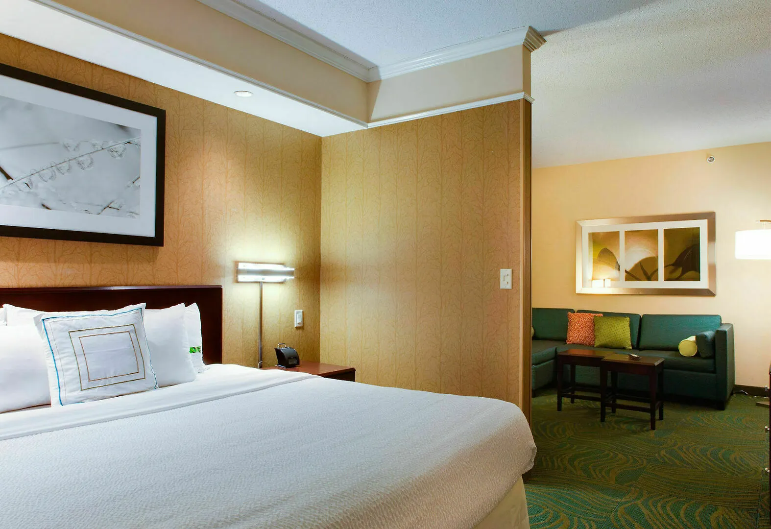 Hotel Springhill By Marriott I-95 South