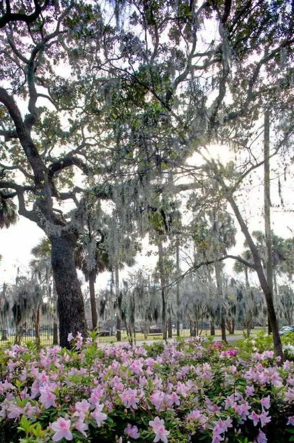 Restored Historic 5 Bedroom 4 And A Half Bath Savannah