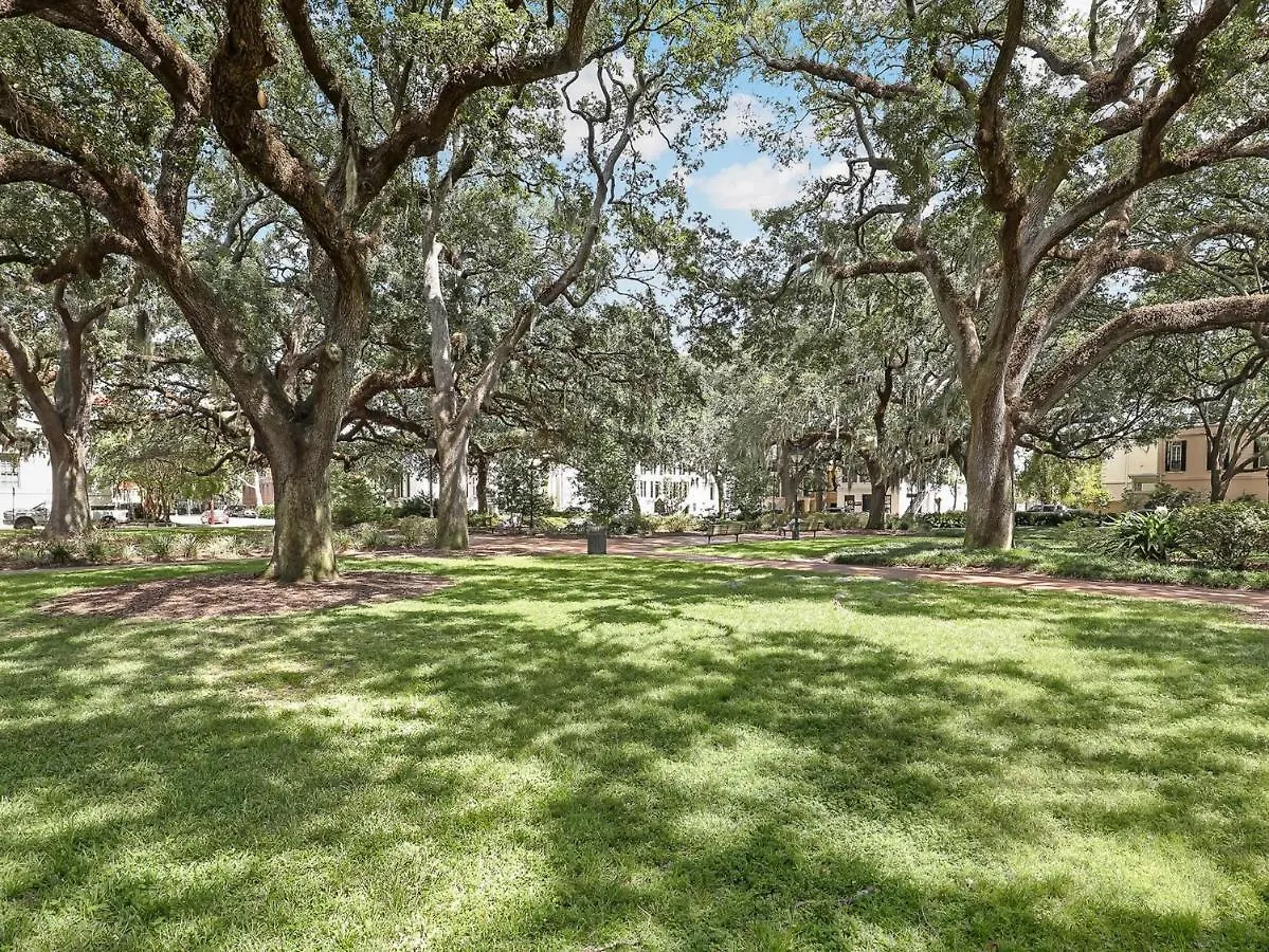 Gordon Live Oak *