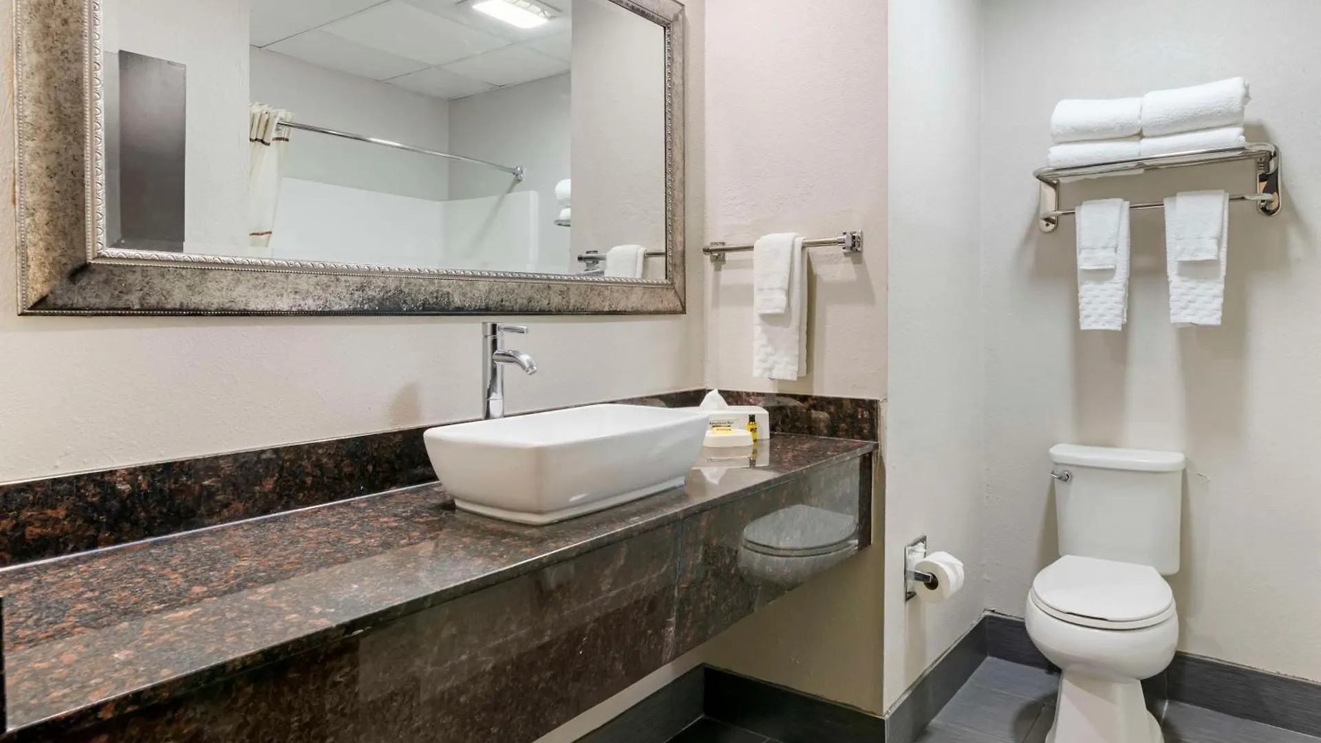 Hotel Western Savannah Airport Inn&suites Pooler