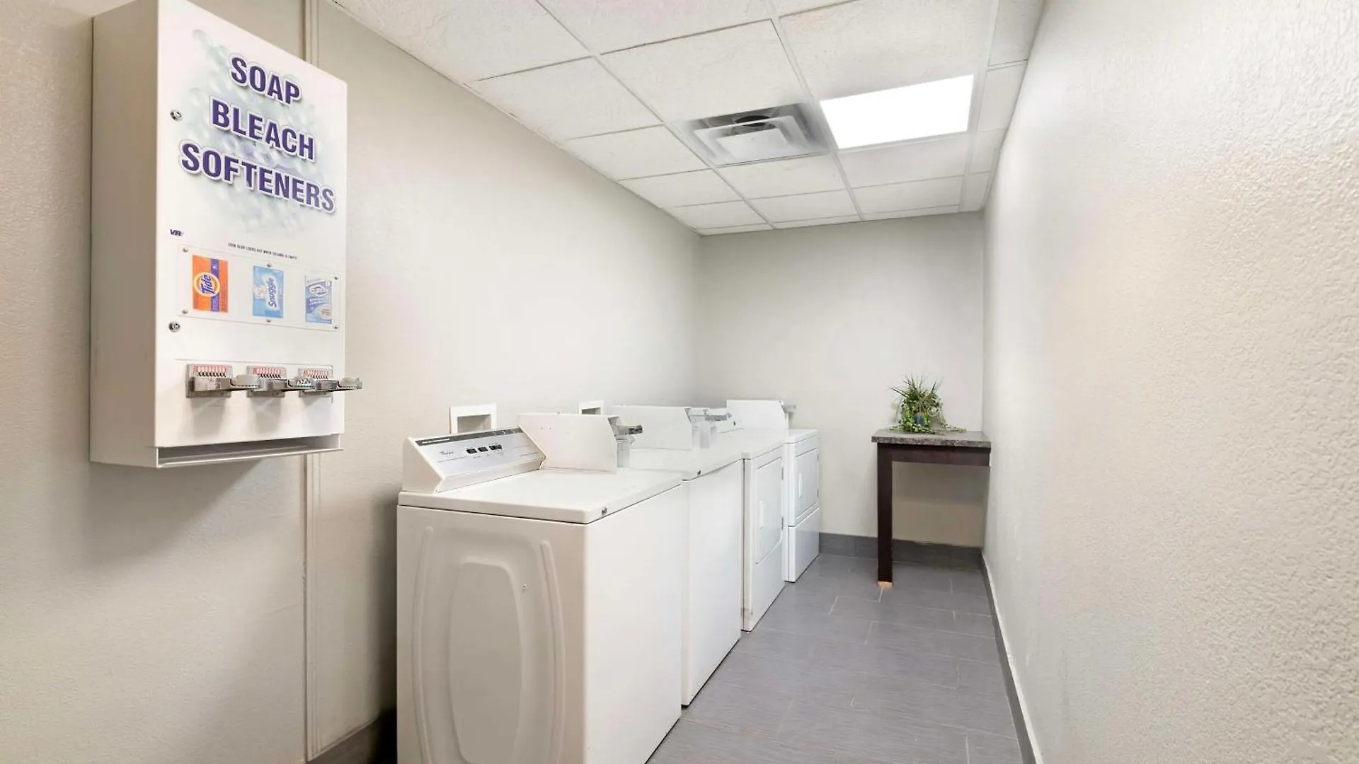 Western Savannah Airport Inn&suites Hotel