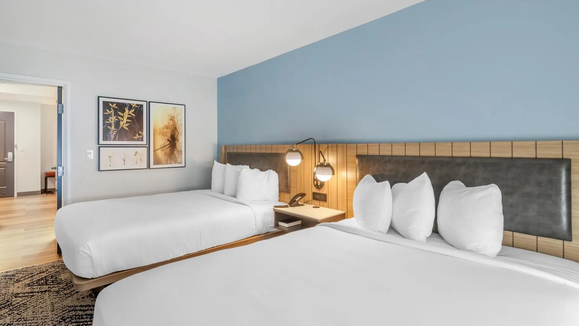 Country & By Radisson, Airport, Ga 3* Savannah