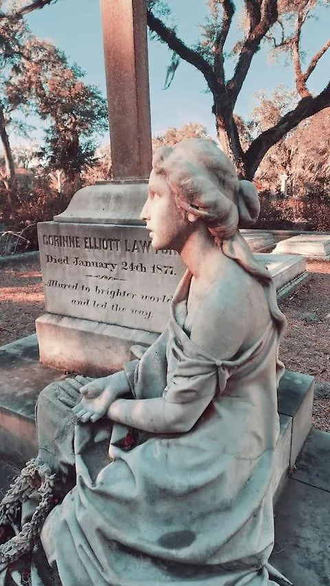 Bonaventure Historical Area Luxury Σαβάνα