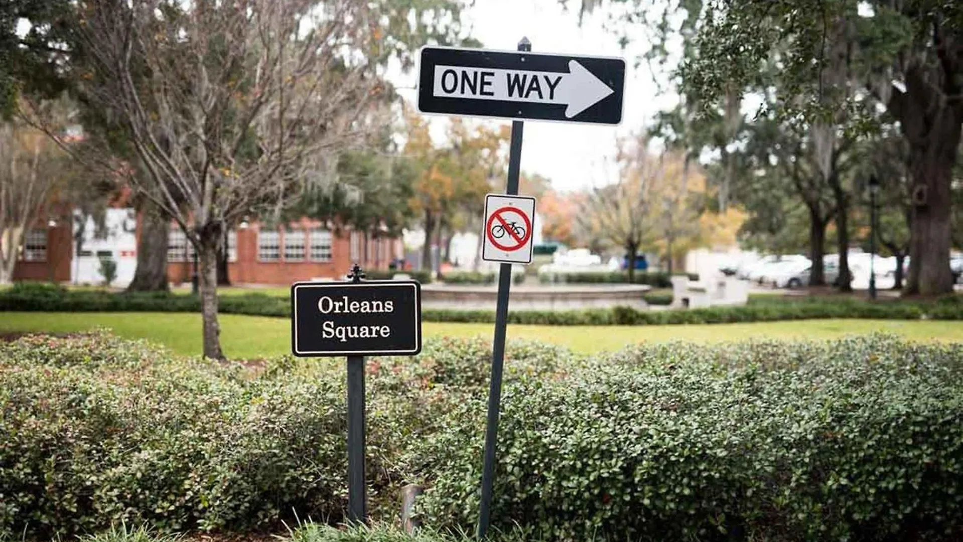 Orleans Square * Σαβάνα