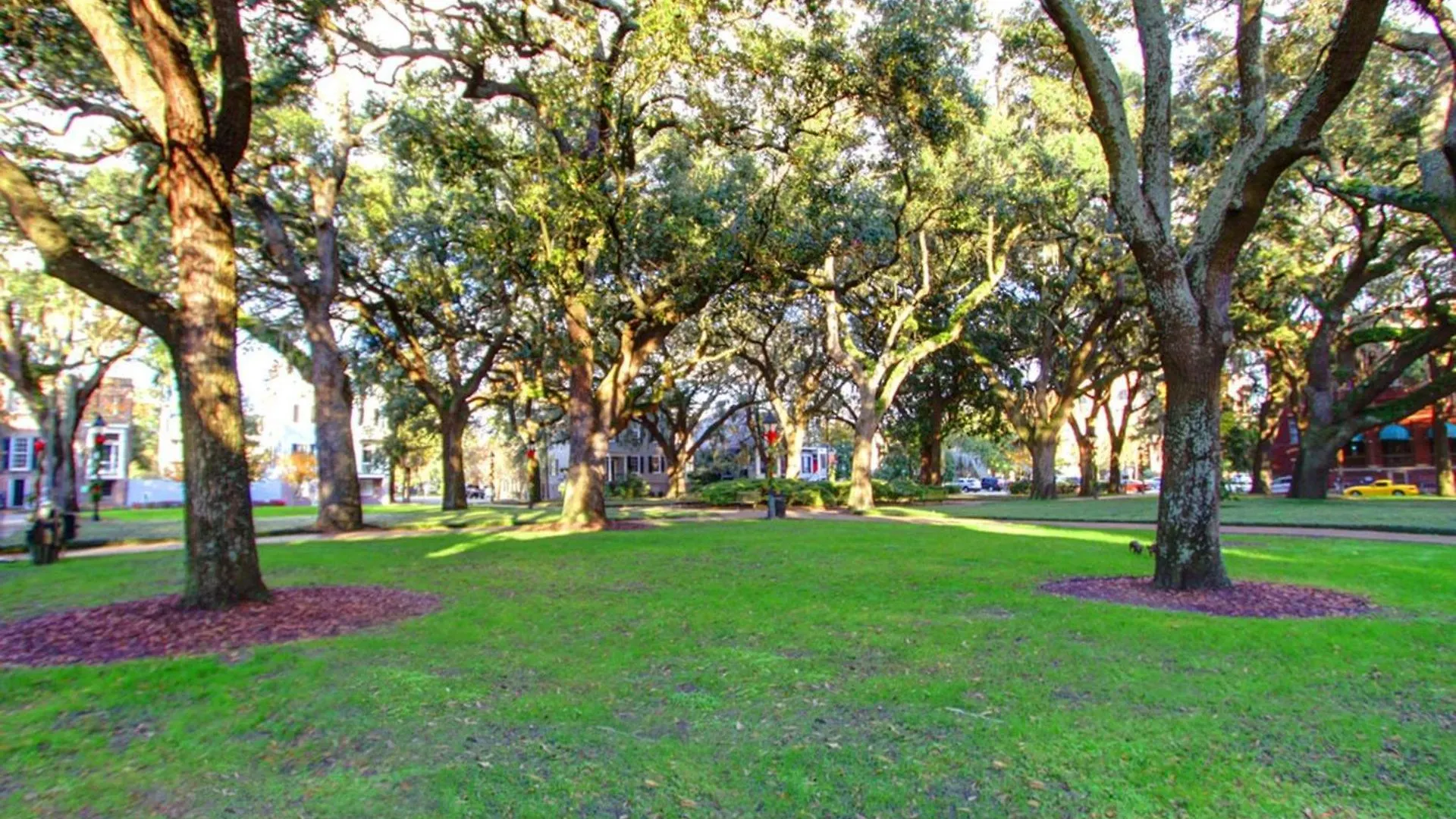Bird Baldwin Parlor Semesterbostad Savannah