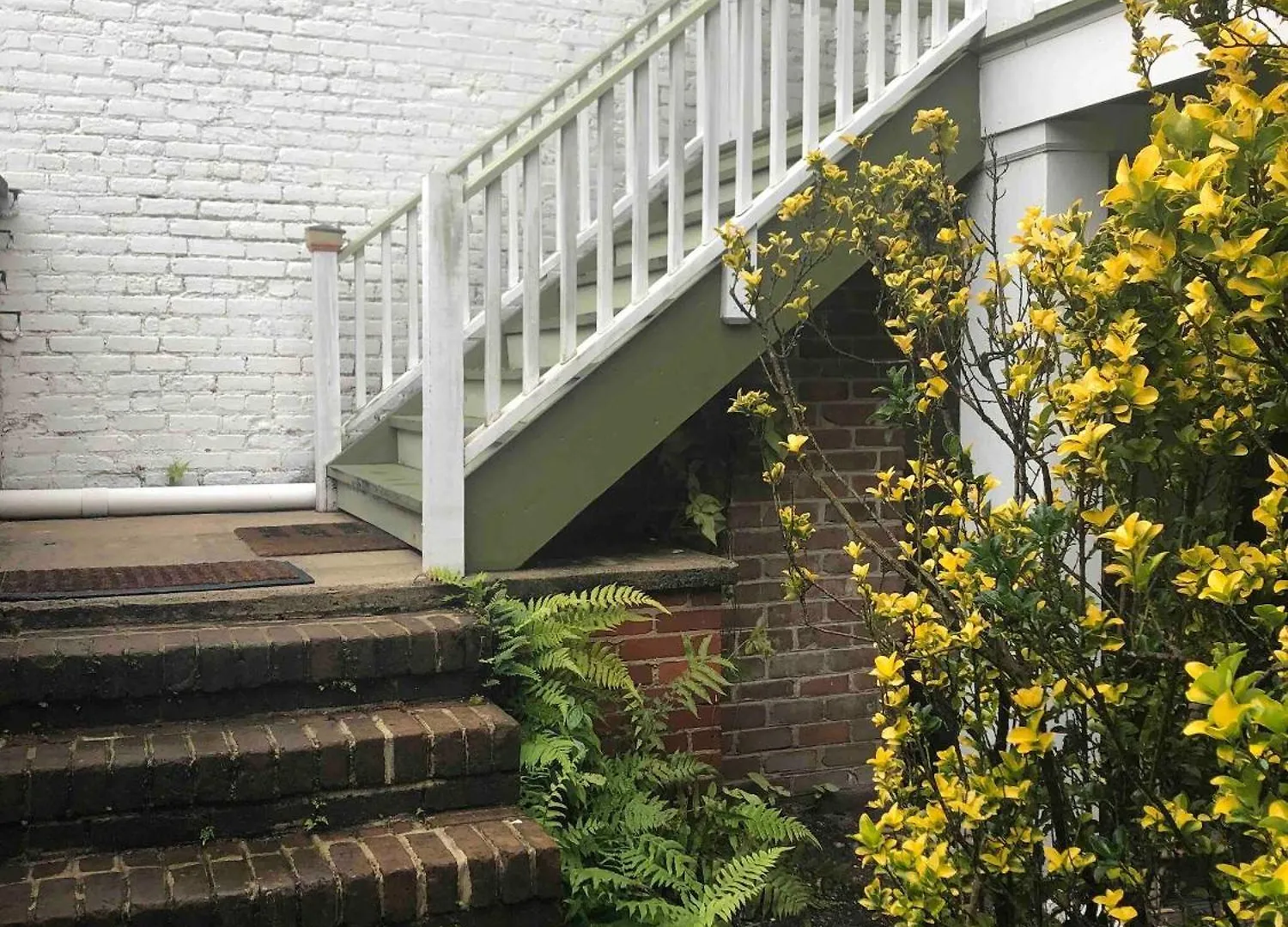 דירה 2bdr 2bath Prime Location Walk To Forsyth Park!
