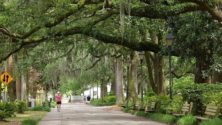 Beautiful Forsyth Park Charmer - Amazing Location! Savannah